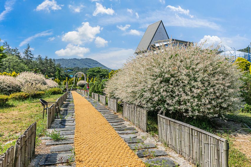 살림정원살이 림스1호