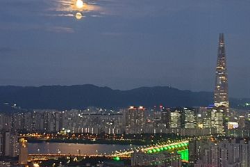전체사용