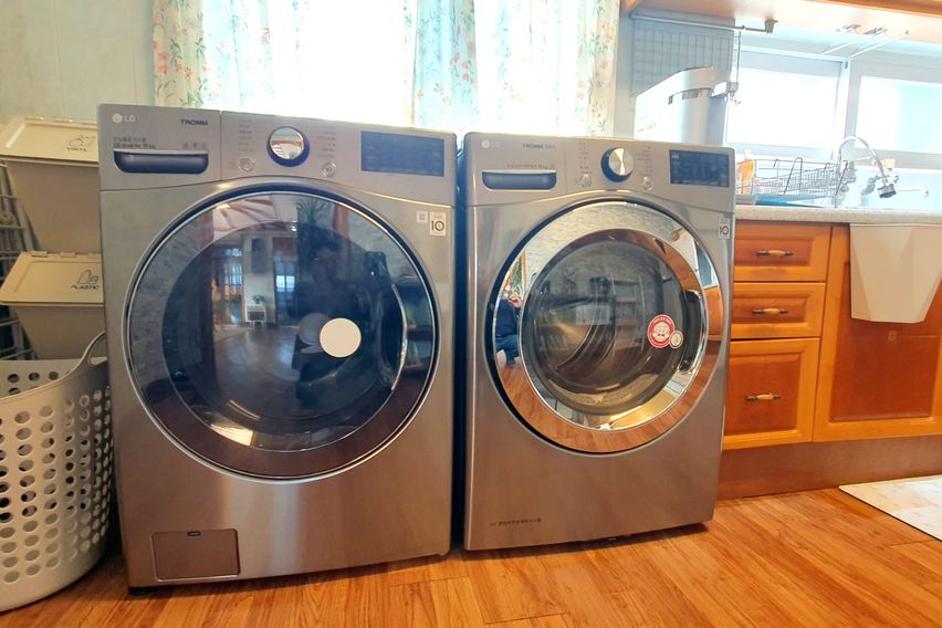 제주조아 15번째 이미지