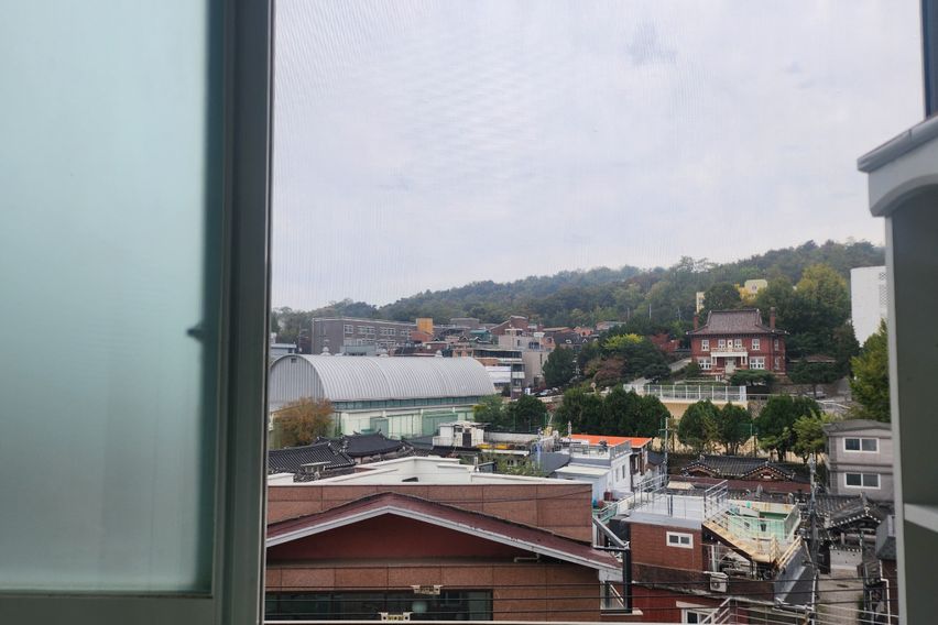 부산갈매기 501 특가