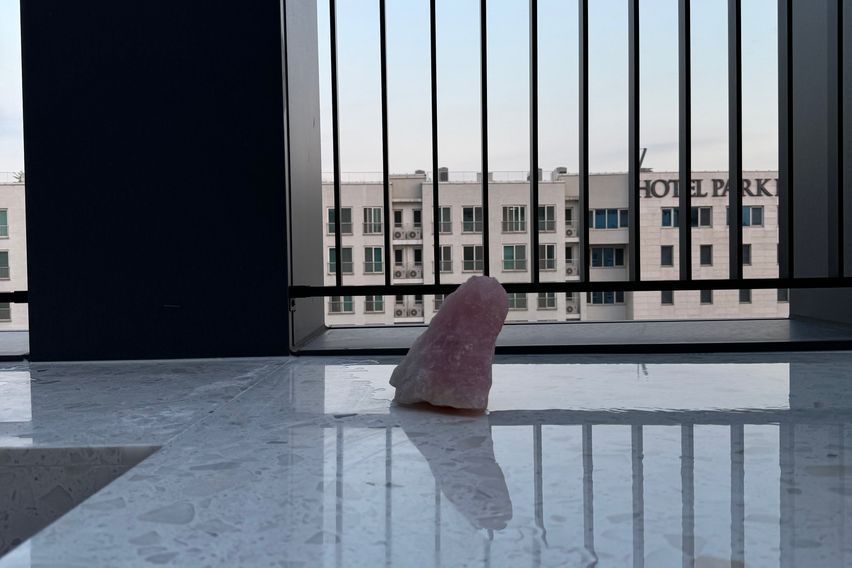 팬트하우스 타마