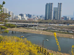 성수 서울숲 한강 투룸 15번째 이미지