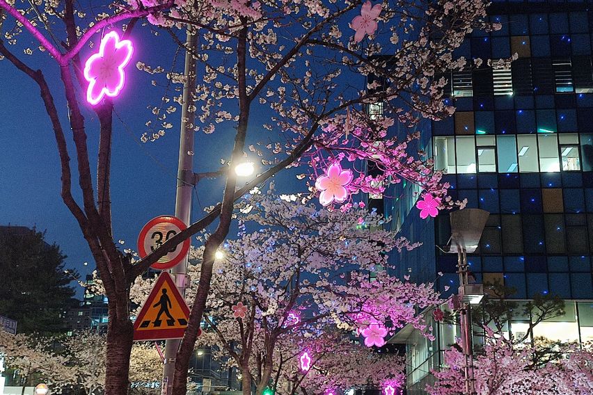 강남역삼역내창미니룸9