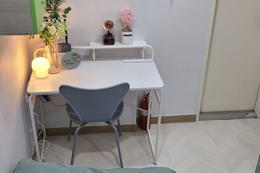 227스테이-스탠다드