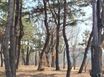 운서동 우리집같은편안함 17번째 이미지