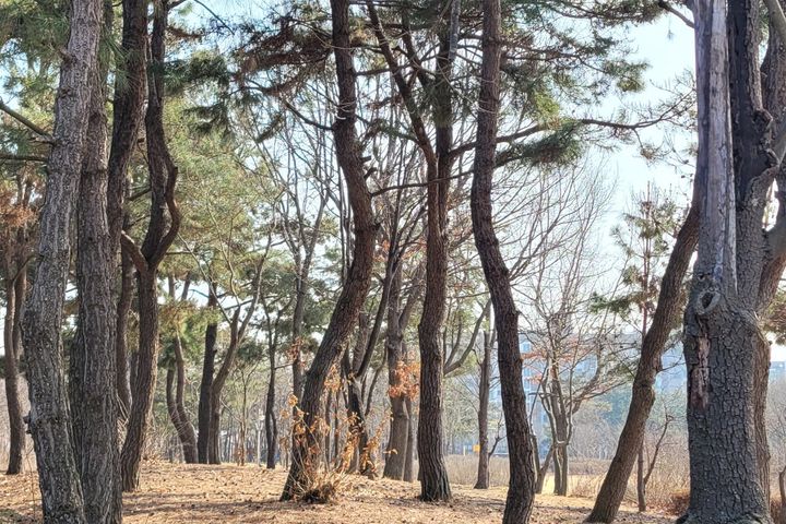 Unseo-dong: The Comfort of Home 17th image
