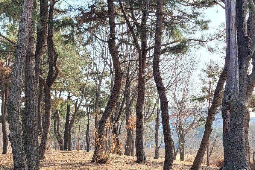운서동 우리집같은편안함 17번째 이미지