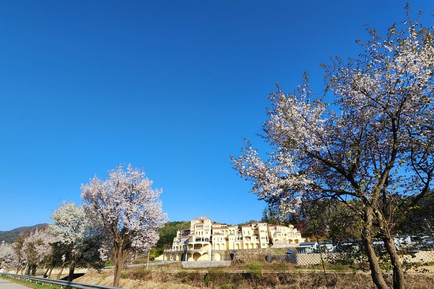 마농 9번째 이미지