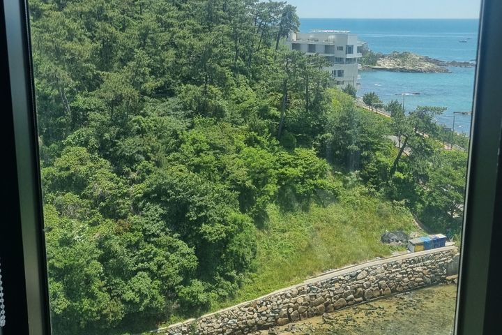 🍀부산송정해수욕장3분 4번째 이미지