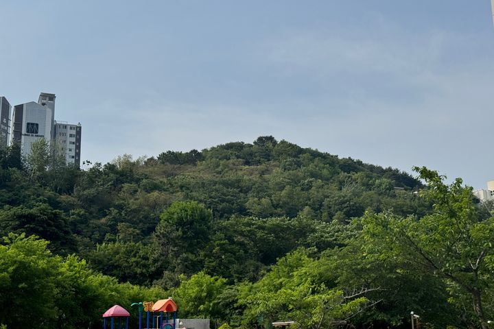광안리쓰리룸🤍부경대역 11번째 이미지