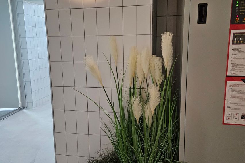 패스브릭 원룸_ B타입