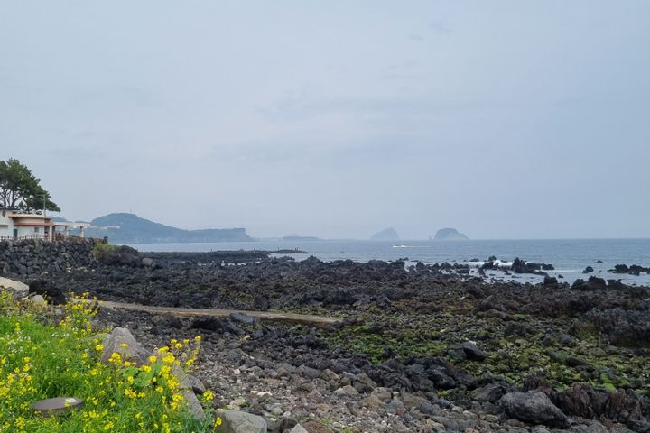 법환 포구 바로 앞 18번째 이미지