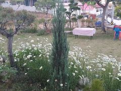 고창힐링하우스   18번째 이미지