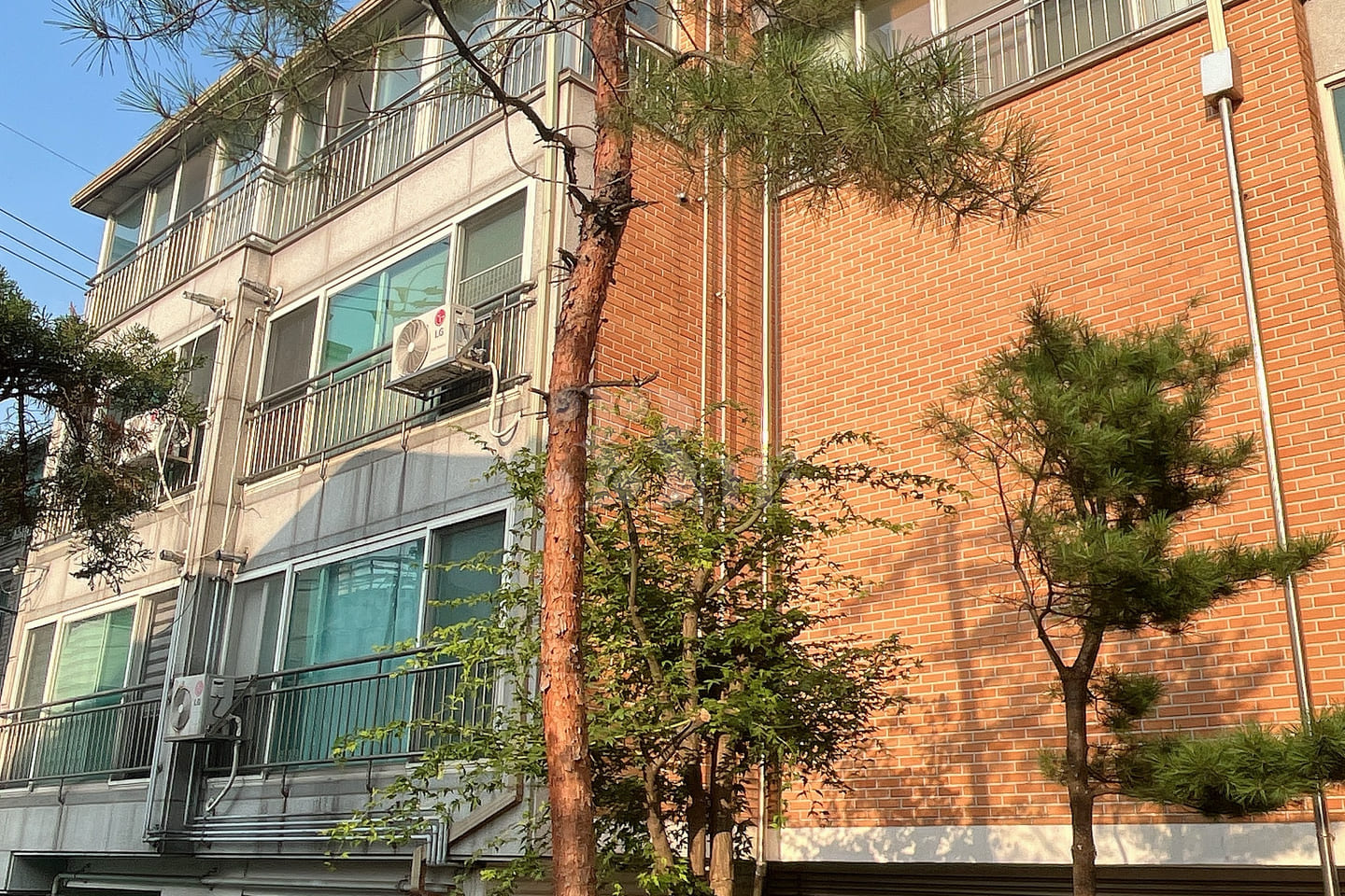 ⬛ Hongdae, Sinchon, Severance 19th image