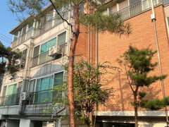 ⬛ Hongdae, Sinchon, Severance 19th image