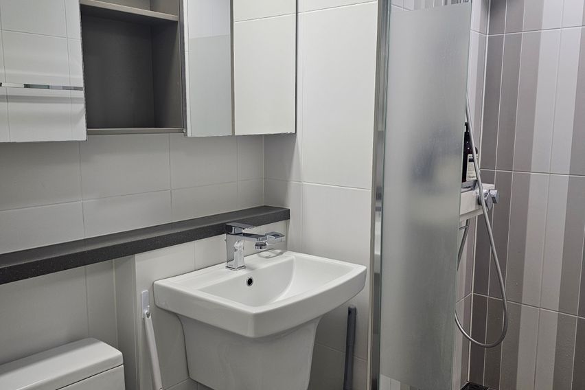 석촌호수롯데월드아산병원