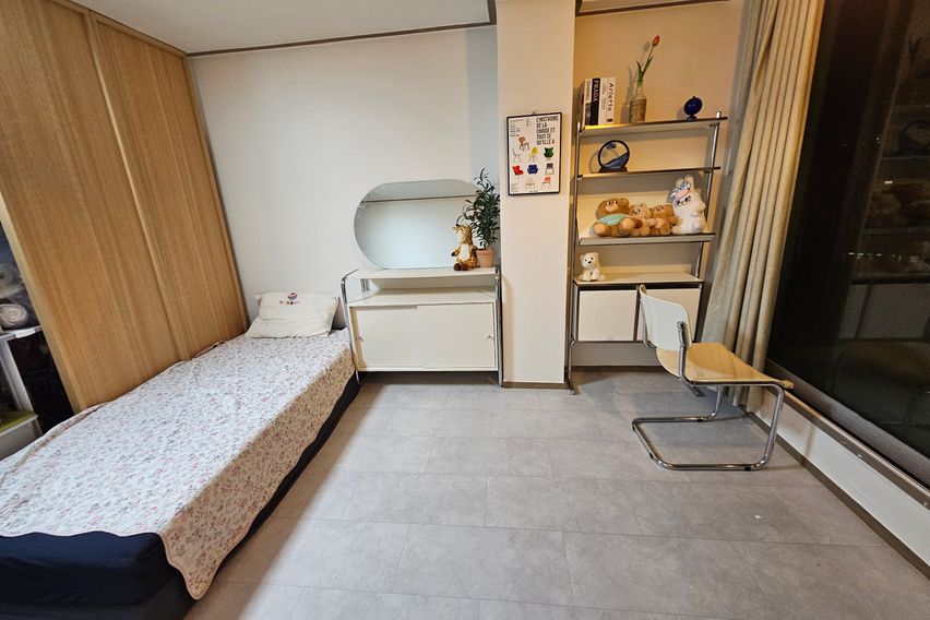 한강뷰 with 고양이