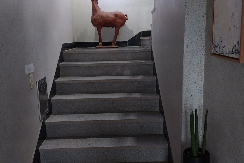 해운대  예술의 집