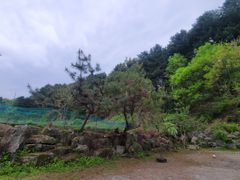단독 사용 하루한팀 6번째 이미지