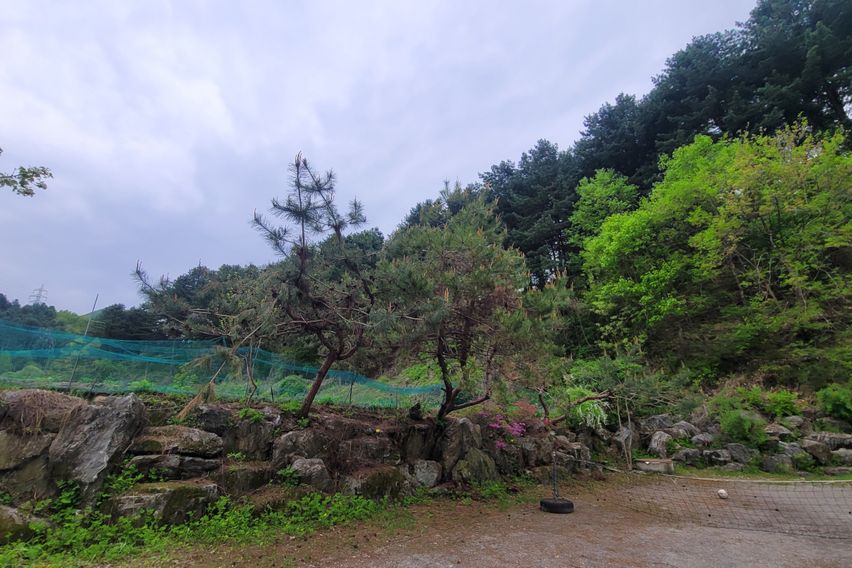 단독 사용 하루한팀