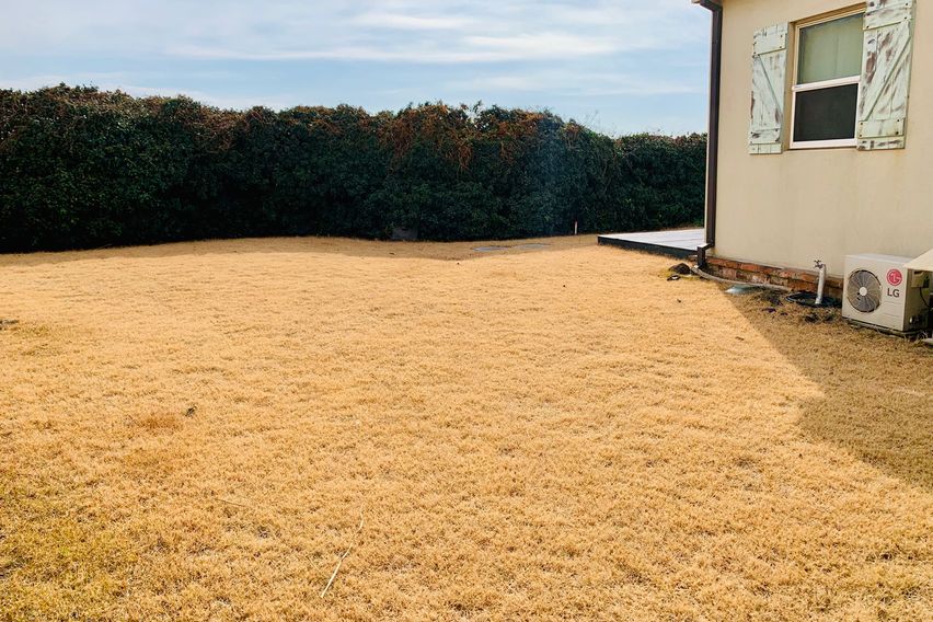 ✔️애월해담바람정원✔️