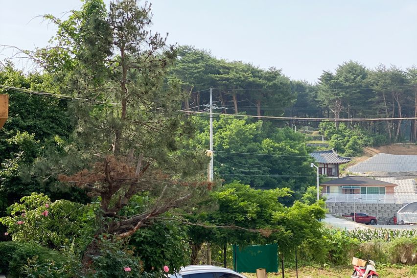 강릉아파트 피엔포레스트