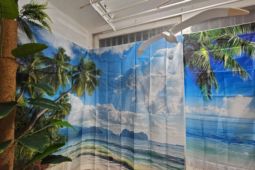 1층아파트18평 방2개