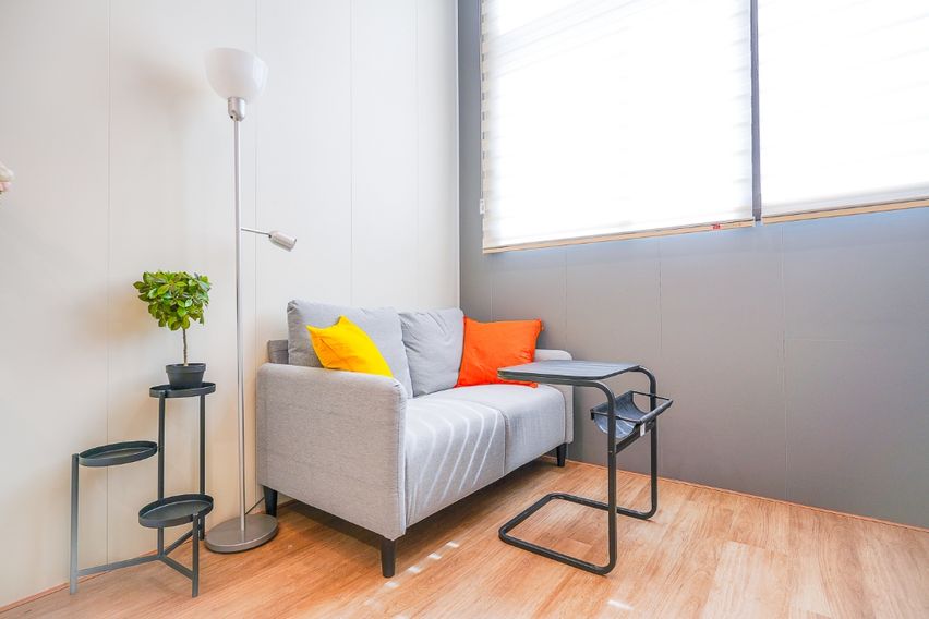 미금/정자🐕댕냥이OK