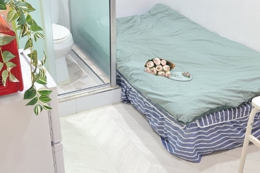 227스테이-스탠다드