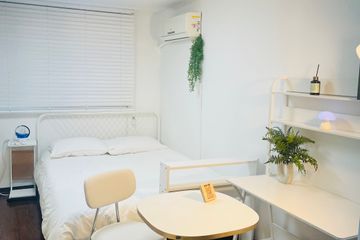 💡신사/압구정/강남