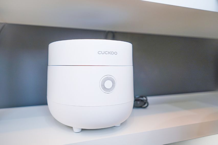 미금/정자🐕댕냥이OK