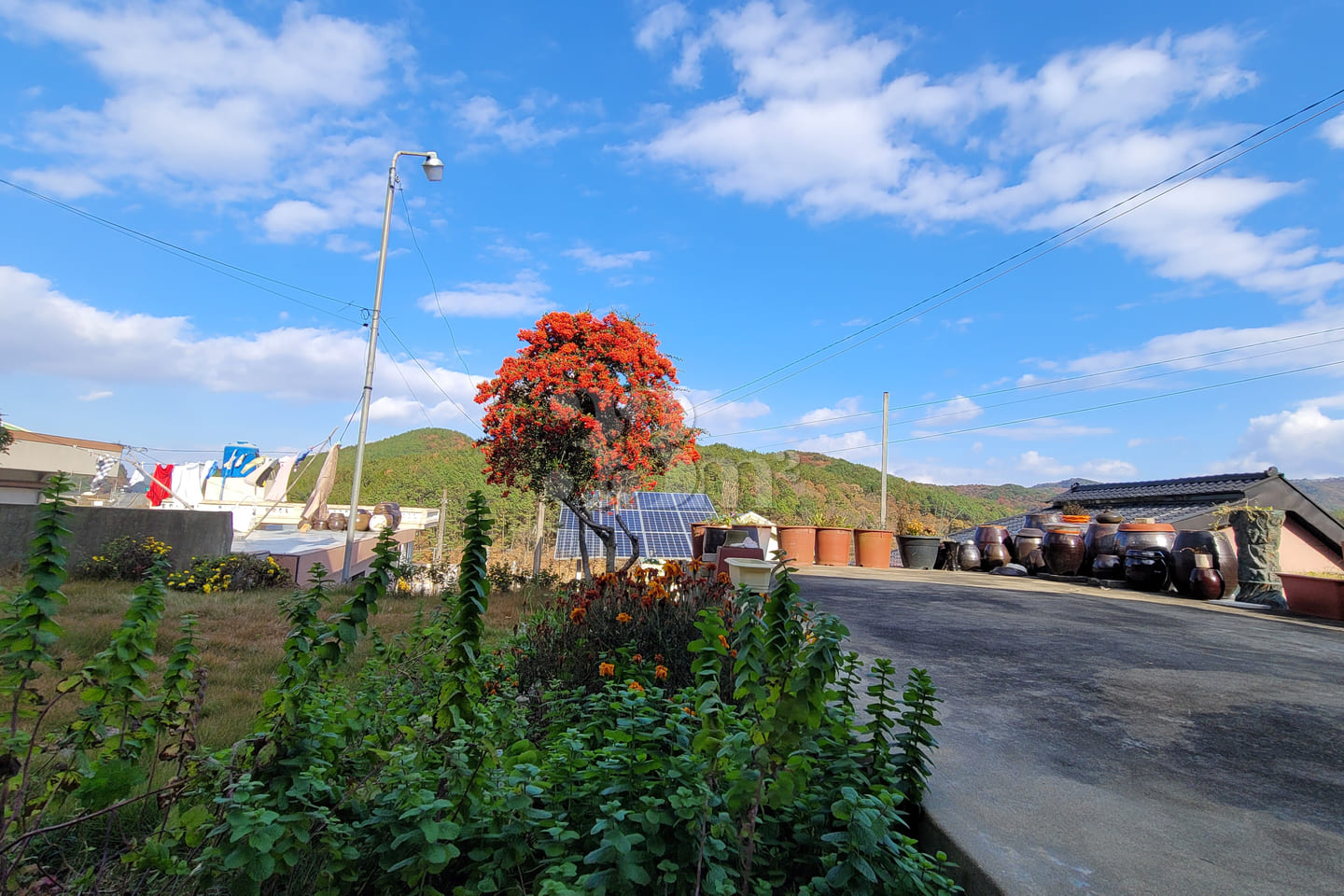 Mokpo-Muan Yeoyudang 12th image