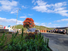 Mokpo-Muan Yeoyudang 12th image