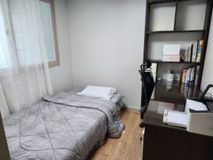 국화 16번째 이미지