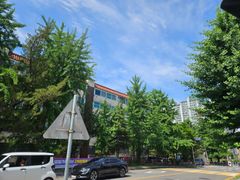 일산동 밝은남향 쓰리룸 8번째 이미지