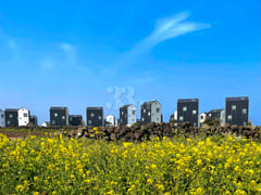 Jeju Ocean View Private House D 17th image