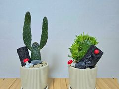 태백힐링하우스 11번째 이미지