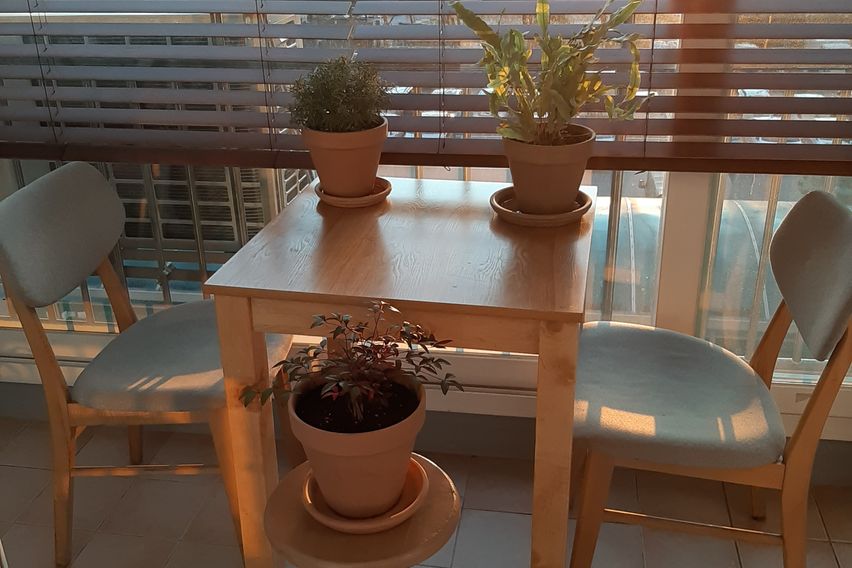 이음스테이 9번째 이미지