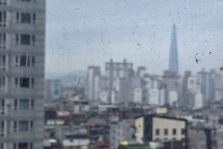 B house 5번째 이미지