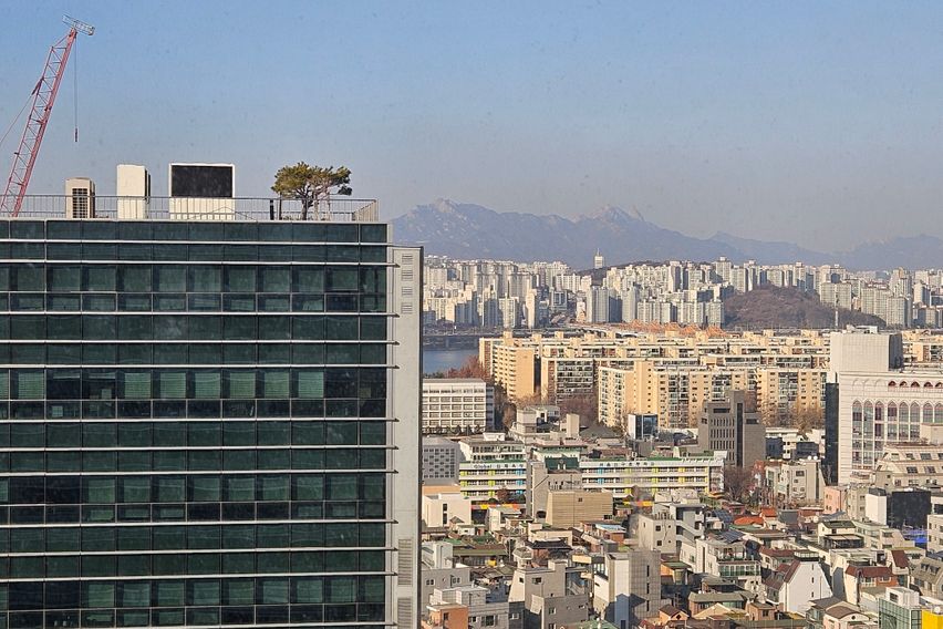 연말특가🩵❤️강남신사