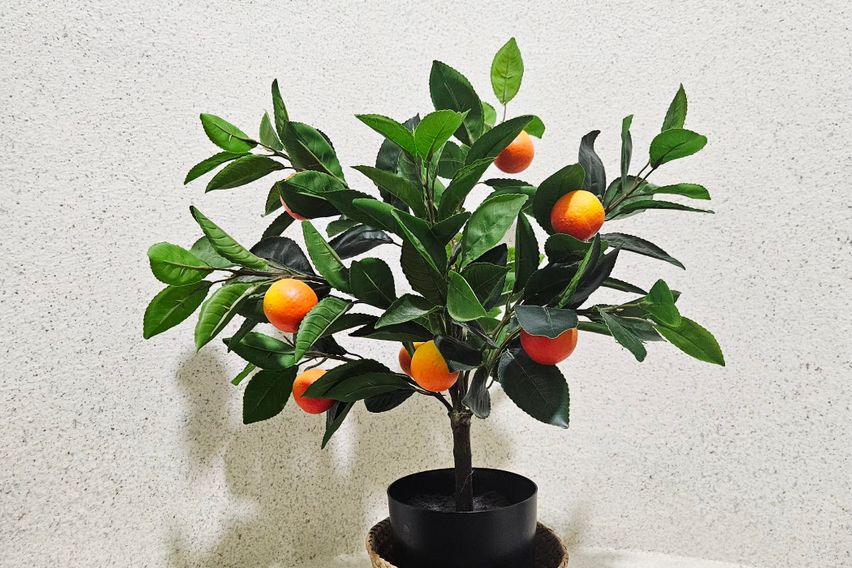 신축 풀옵션 오피스텔K