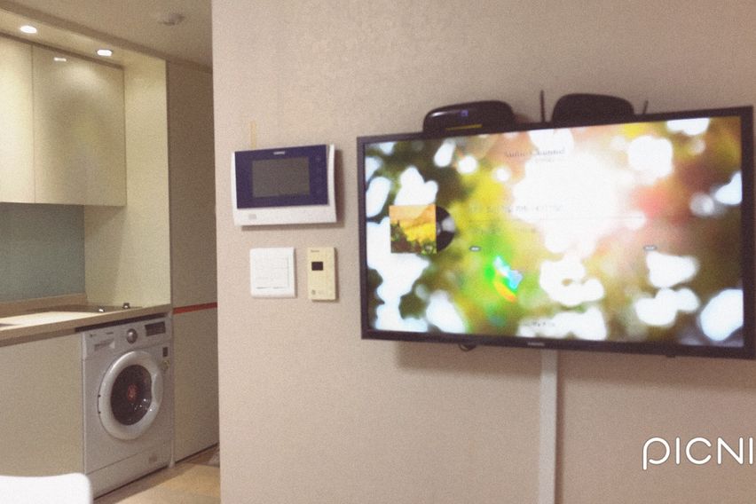 선릉 네입클로버(신규)