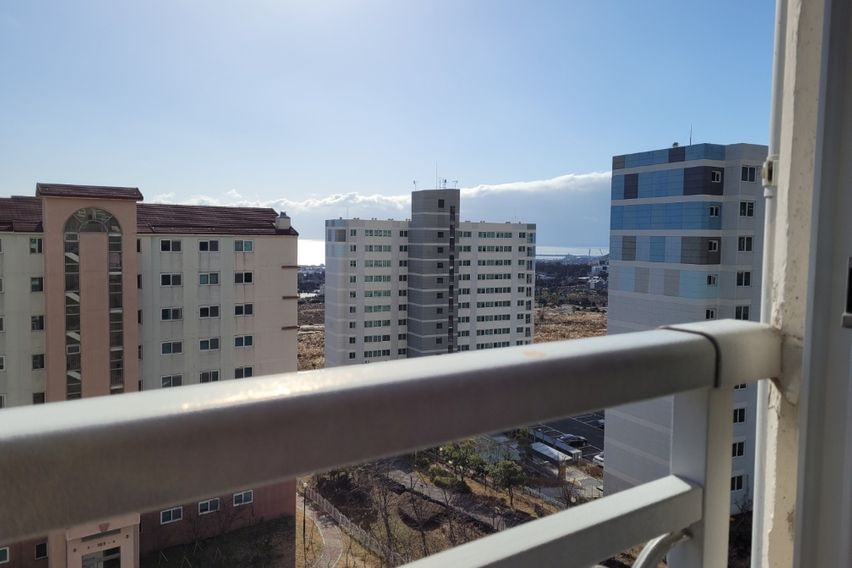 🌈 서귀포17평 애견