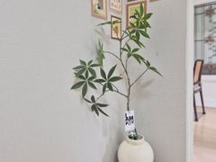 김녕해수욕장1분 독채B 16번째 이미지