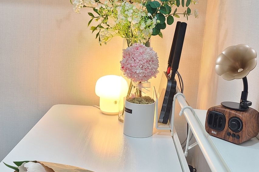 227스테이-스탠다드