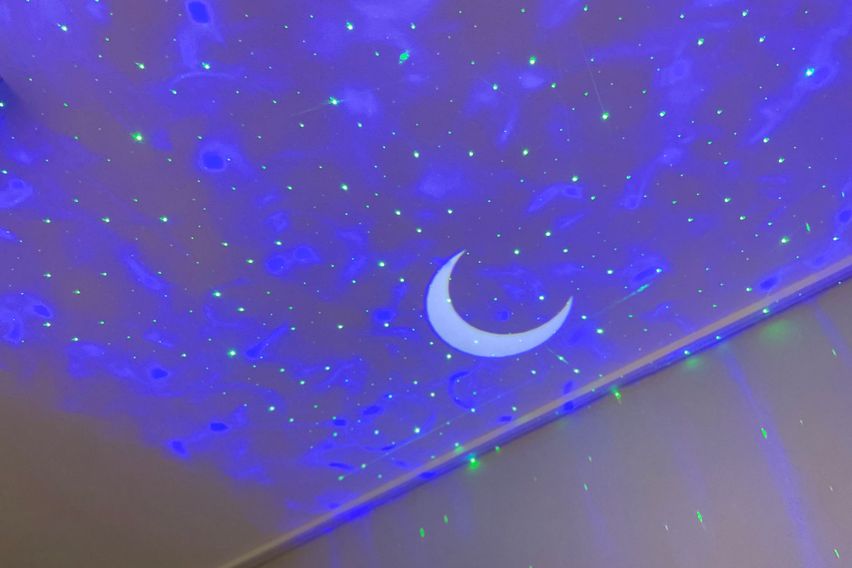 펫 친화적 신축 오피🐶