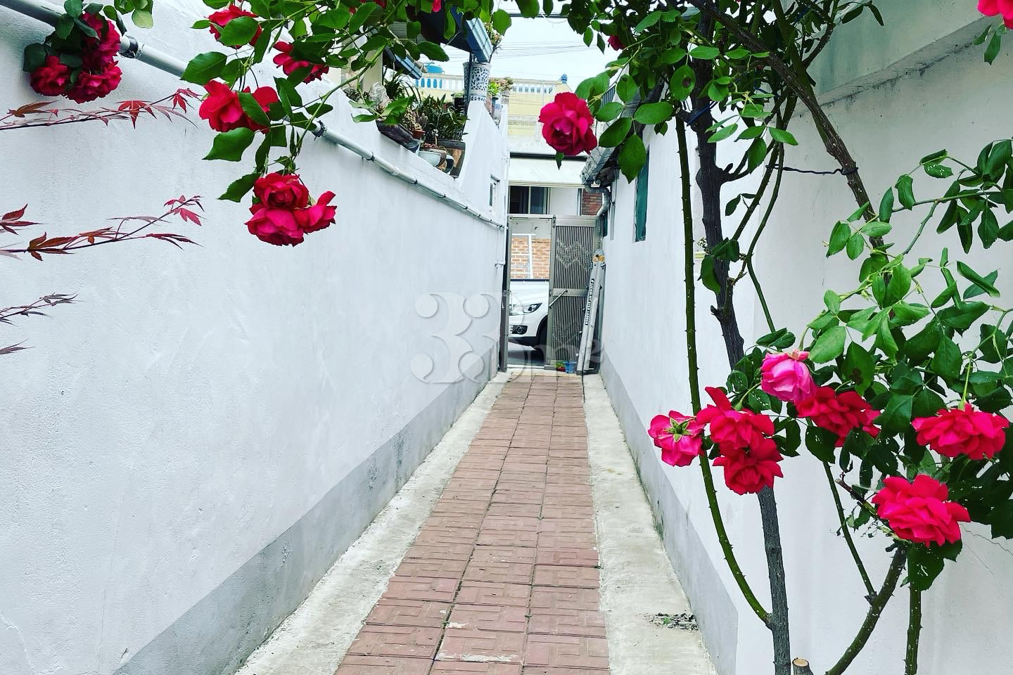 잘란잘란 진주 0번째 이미지