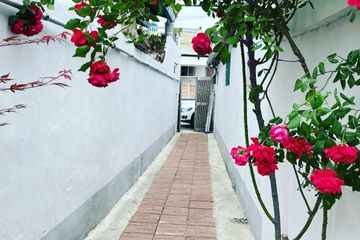 잘란잘란 진주