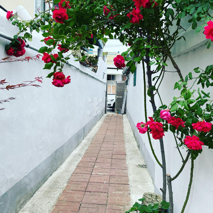 잘란잘란 진주 방 이미지