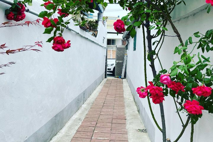 잘란잘란 진주 0번째 이미지